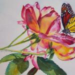Monarch and Roses